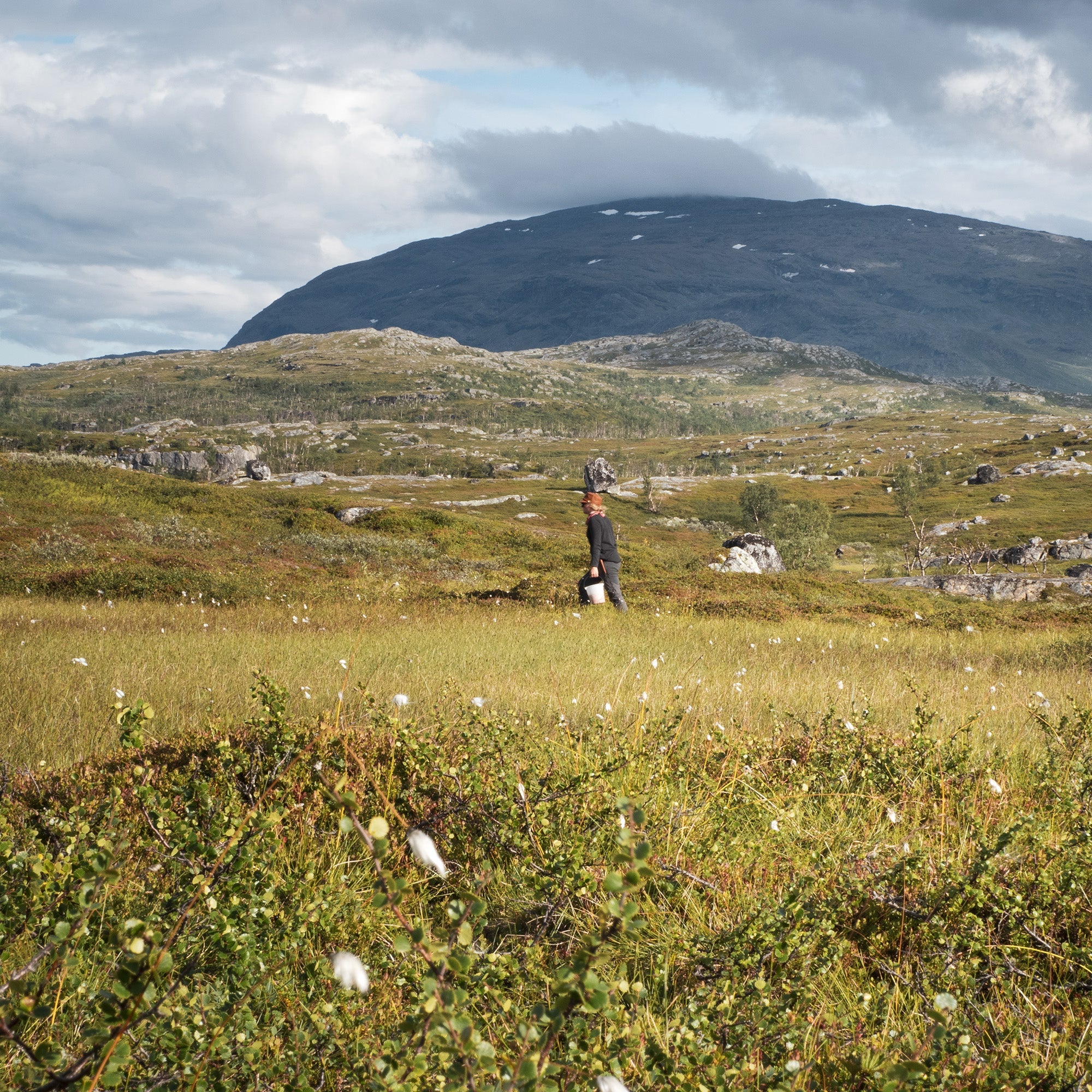 Nordligaste Lappland, tjej vandrar i fjället, Karesuandokniven
